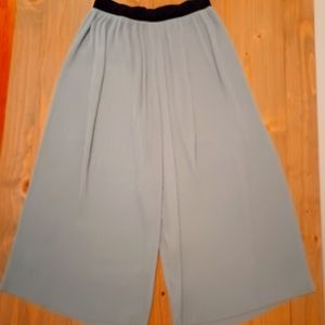 Zara pleated Wide Leg Sage/Seafoam Pants